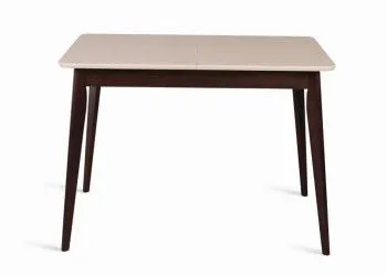 Стол Рэй-1030 (темный тон/слоновая кость 9001) Прямоугольный