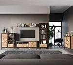 Витрина Лофт REG1W1S | изображение 2