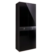 Шкаф 2-х дверный Римини СОЛО (Черный/Серебро) РМШ2/2(s)