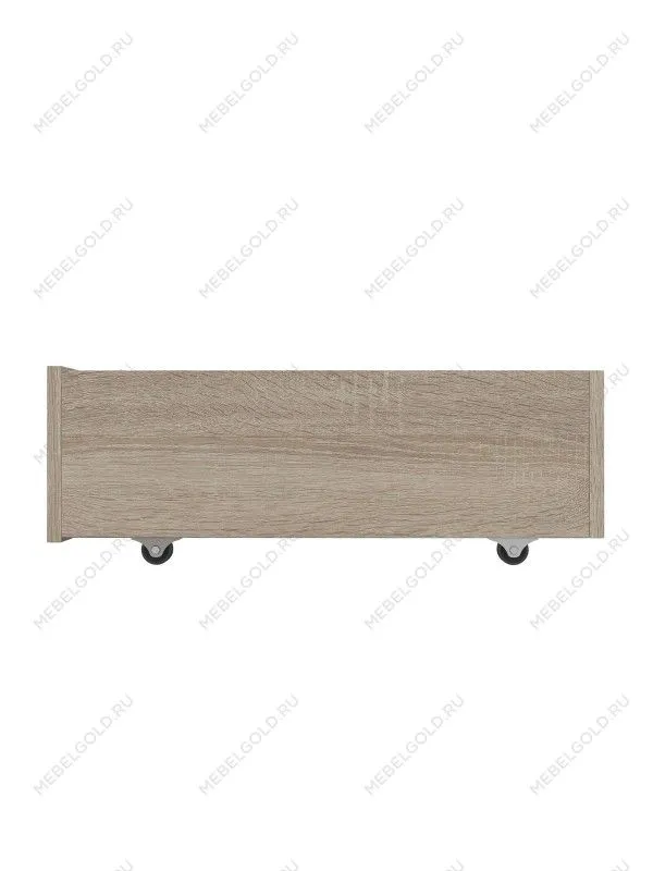 Ящик выкатной для кроватей СИРИУС, 60х60х20 см, дуб сонома | изображение 1