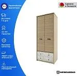 Шкаф 2-створчатый Дизель 2DG2S/D2 | изображение 1