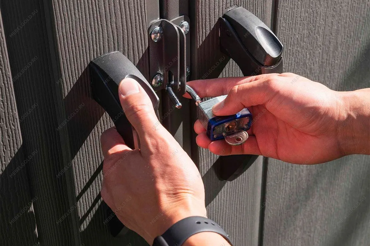 Сарай пластиковый WoodLook 8*10 NEW | изображение 16