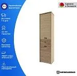 Шкаф 1-створчатый Дизель 2D1S/D1 | изображение 1