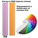 Шкаф-пенал Отис МН-039-03 П9 с фасадом МДФ (краска глянец RAL) | изображение 1